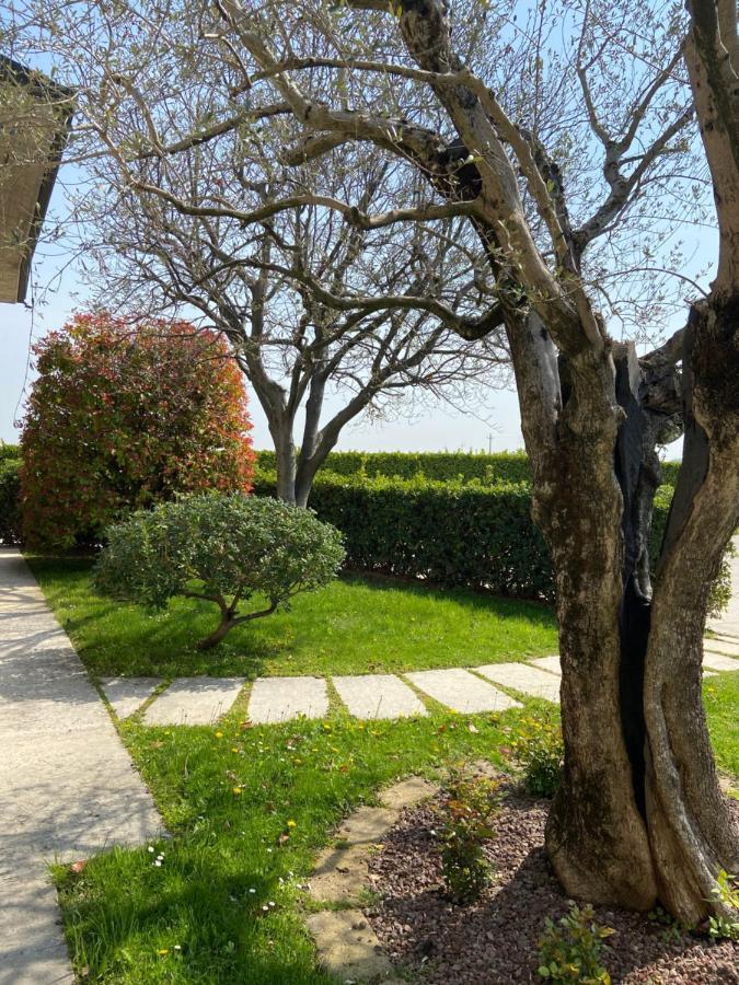 Casa Luigi - Appartamenti A ペスキエーラ・デル・ガルダ エクステリア 写真